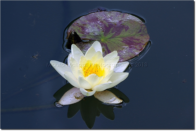 Granada 2009 - Alhambra