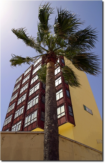 Andalusia 2009 - Cadice