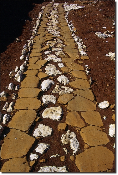 Cisterna di Latina 2004 - Strada Romana San Valentino