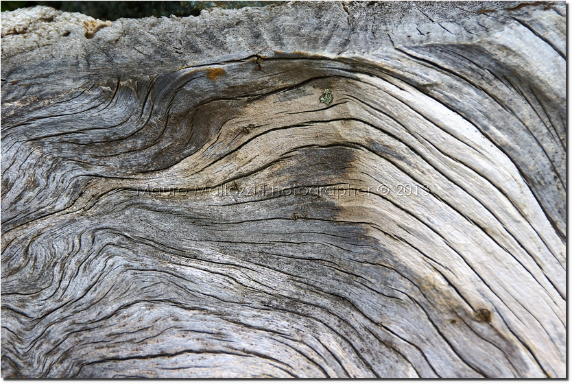 Lillaz 2007 - Colle Bardoney